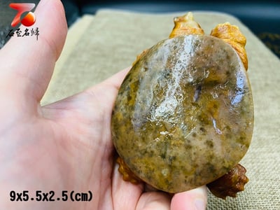 老撾田黃石【富甲天下-甲魚】3