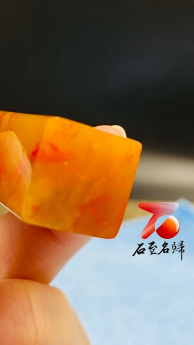 巴林福黃凍雞血5