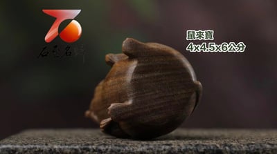 正宗阿根廷綠檀【鼠來寶】5