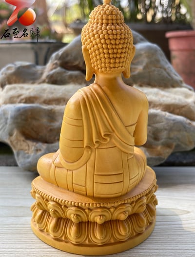 台灣現貨 實體店鋪 雲南小葉黃楊【如來佛祖】2