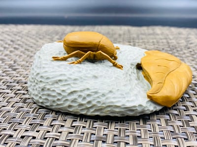 天然巧雕 壽山山秀園石系列【富甲天下】4