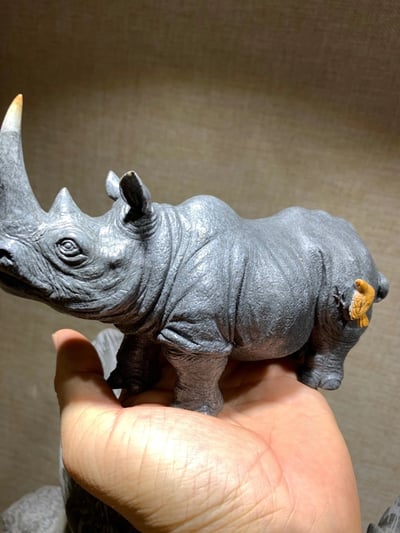 頂級壽山高山石【犀牛】4