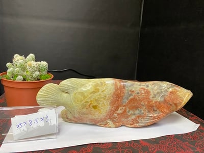 壽山旗降石【龍魚】1