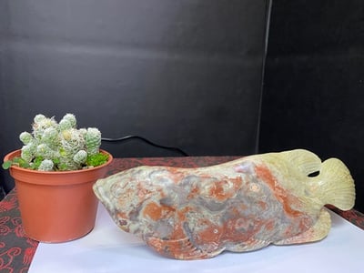 壽山旗降石【龍魚】3