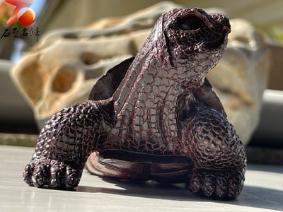 印度小葉紫檀高油密二膘料【鎮宅象龜】4