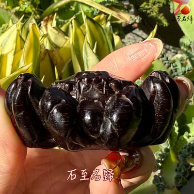 天然 印度小葉紫檀高油密爆滿金星樹心料 湘工手作【八方來財】3