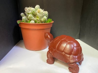 壽山峨嵋石【吉祥長壽紅龜】3