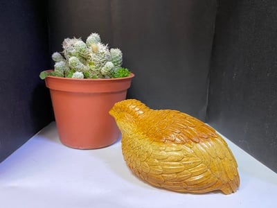 壽山老岭石【安享太平-鵪鶉】2