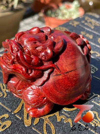 印度小葉紫檀樹心料 湘工手作【龍龜】3