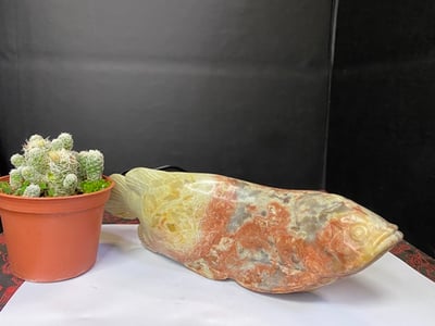 壽山旗降石【龍魚】6