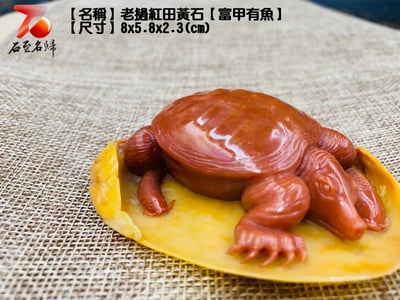 老撾紅田黃石【富甲有魚】4