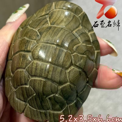 金絲楠木小葉楨楠陰沉綠料雕刻【富甲天下掛件/吊飾】厚實龜殼寓意穩紮穩打，富到發光1
