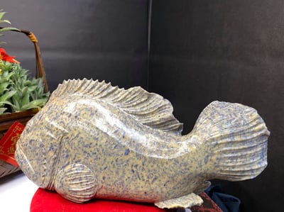 壽山旗山石【石斑魚-年年有餘】5