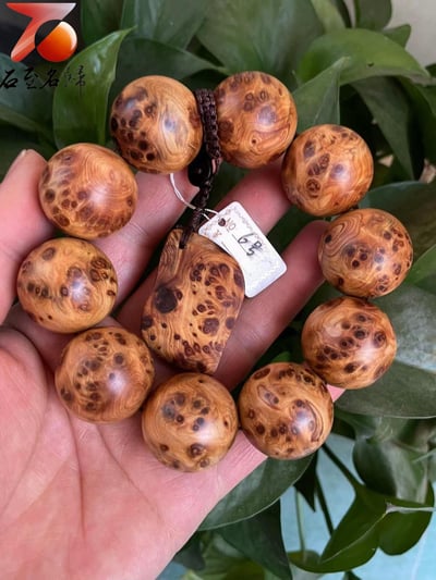 精選正宗太行崖柏雀眼瘤疤6