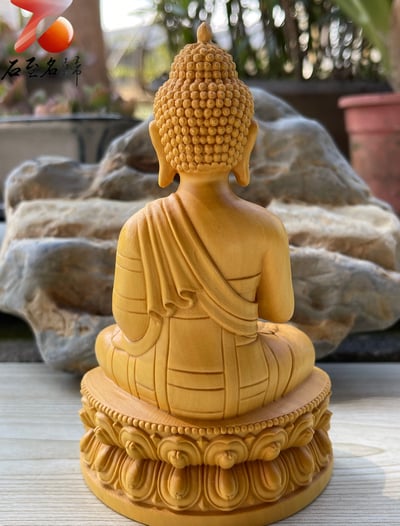 台灣現貨 實體店鋪 雲南小葉黃楊【如來佛祖】3