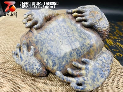 壽山石【金蟾蜍】9
