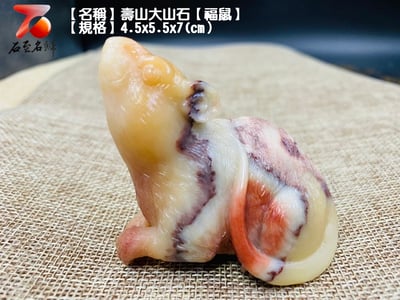 壽山大山石【福鼠】6