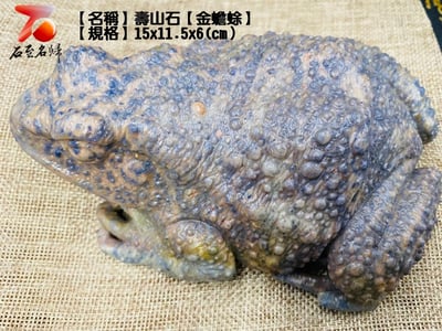 壽山石【金蟾蜍】7