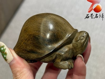 金絲楠木小葉楨楠陰沉綠料雕刻【長壽龜】歲月的祝福，平安的延續2