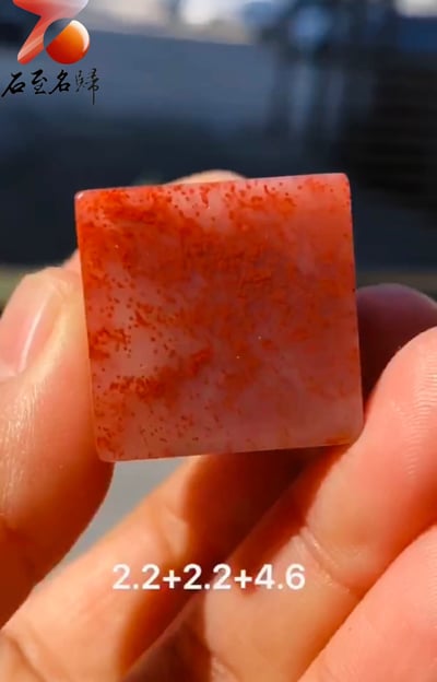 正壽山水洞桃花瑞獸章5