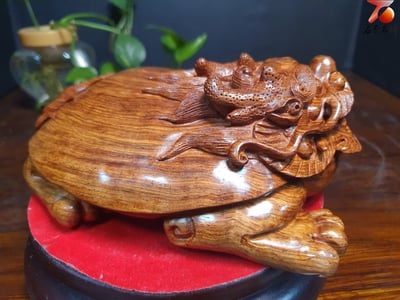 天然 海南黃花梨金黃色油梨老料【大龍龜】4