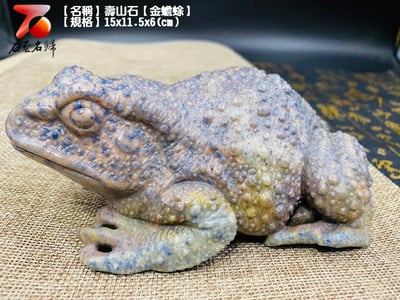 壽山石【金蟾蜍】2