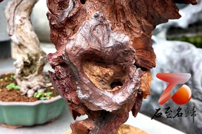 印度小葉紫檀樹頭老料整木巧雕【達摩祖師】8