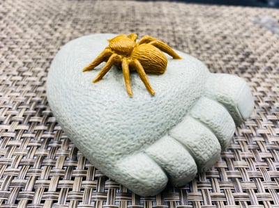 壽山山秀園石 天然巧色巧雕【知足常樂】5