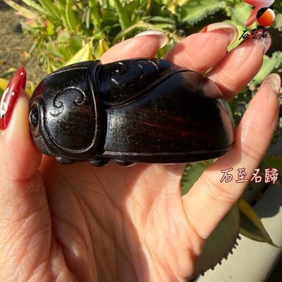 天然 印度小葉紫檀高油密帶金星樹心料 湘工手作【一鳴富貴蟬】3