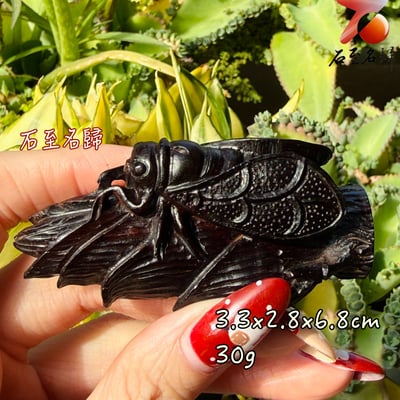 天然 印度小葉紫檀高油密帶金星樹心料 湘工手作【葉上靜鳴】1