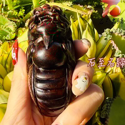 天然 印度小葉紫檀高油密樹心料 湘工手作【抱球龍貔】3