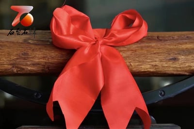 精選百年加里曼丹沉香 實心高密度【沉香鎮宅】5