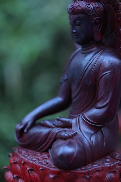 印度小葉紫檀老料 大口徑清刀【阿彌陀佛】4