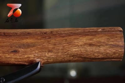 精選百年加里曼丹沉香 實心高密度【沉香鎮宅】6