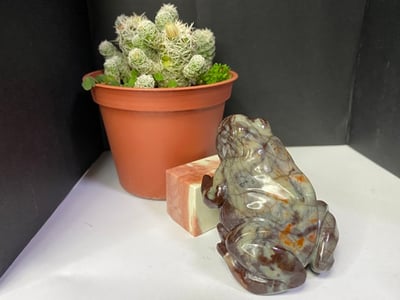 壽山石【萬世不竭-青蛙】3