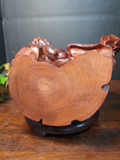 印度小葉紫檀【飛天貔貅】7