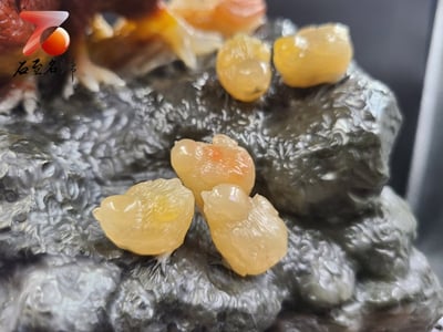 極品高山五彩石 【安居樂業】全家福3