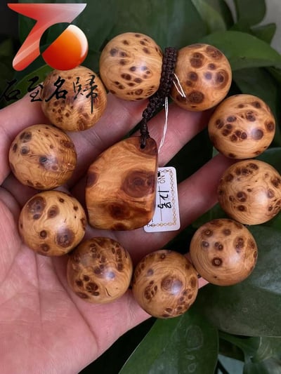 精選正宗太行崖柏雀眼瘤疤12