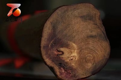 精選百年加里曼丹沉香 實心高密度【沉香鎮宅】9