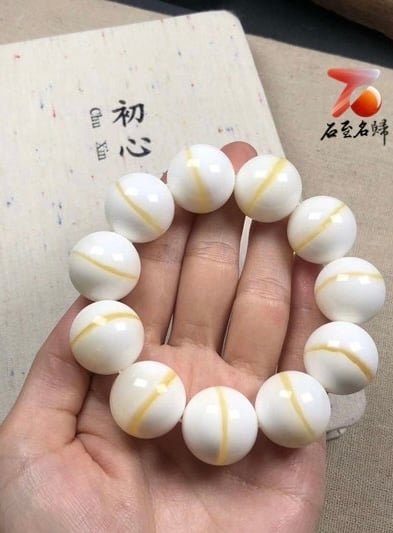 台灣現貨 頂級金絲硨磲手鍊 粒粒精選有帶金絲 開運帶財2