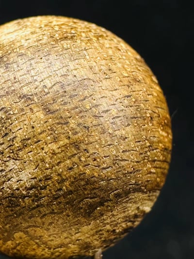 換購價 老料達拉干沉香手串14mm×15顆 現重17.87g2