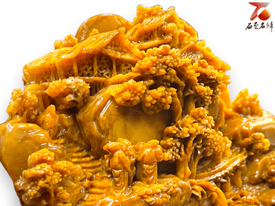 老撾北部田黃【世外桃源】8