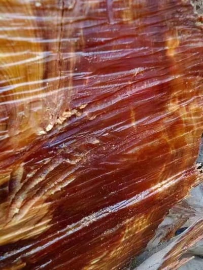 城口崖柏玉化虎皮紋透光20mm手珠(20mm x 12顆）4