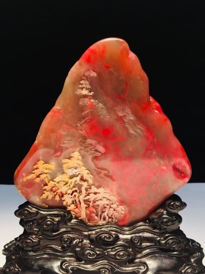 牛角凍雞血大紅袍【映山紅】9