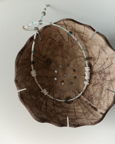 Coconut Shell Bowl4