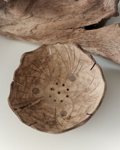 Coconut Shell Bowl3