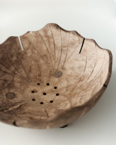 Coconut Shell Bowl2