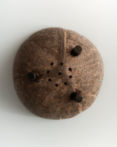 Coconut Shell Bowl7