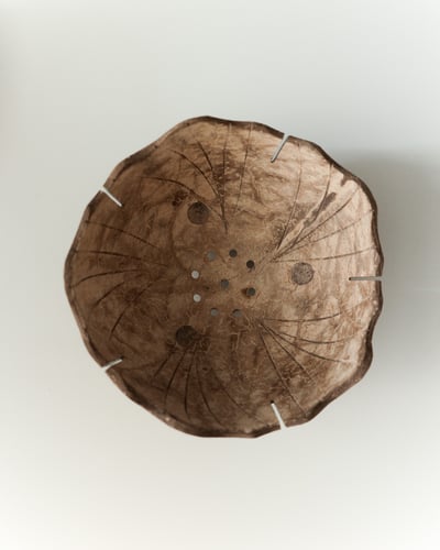 Coconut Shell Bowl1