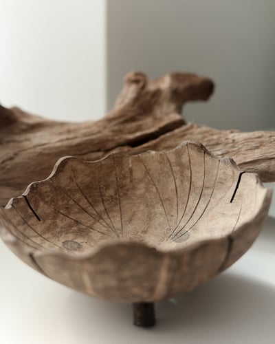 Coconut Shell Bowl5